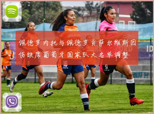 佩德罗内托与佩德罗贡萨尔维斯因伤缺席葡萄牙国家队大名单调整
